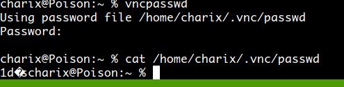 vncpasswd and file